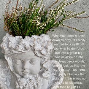 カルーナ,カルーナ　ガーデン・ガールズ,植え替え,成長記録,no green no lifeの画像