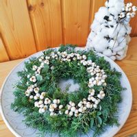 ブルーアイス,ユーカリ,コットンフラワー,ナンキンハゼ,ヒムロスギの画像