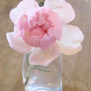 花瓶の花,ばら バラ 薔薇,月曜にはバラ,温泉県大分♨️,おおがファーム♪の画像