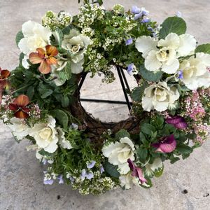 エニシダのドライフラワーリース おとなしい 