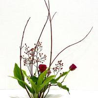ドラセナ,バラ,ベニサンゴミズキ,野バラ実,生け花の画像