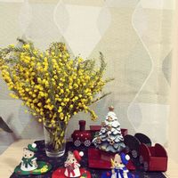 ミモザの画像