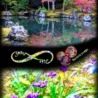 コムラサキ,コムラサキ,モミジ,京都,今日のお花の画像