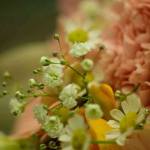 花束,季節の花,花のある暮らし,花いろいろ,癒しの花の画像