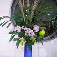 sasukemama倶楽部,野草生け花クラブ,エントランスの画像