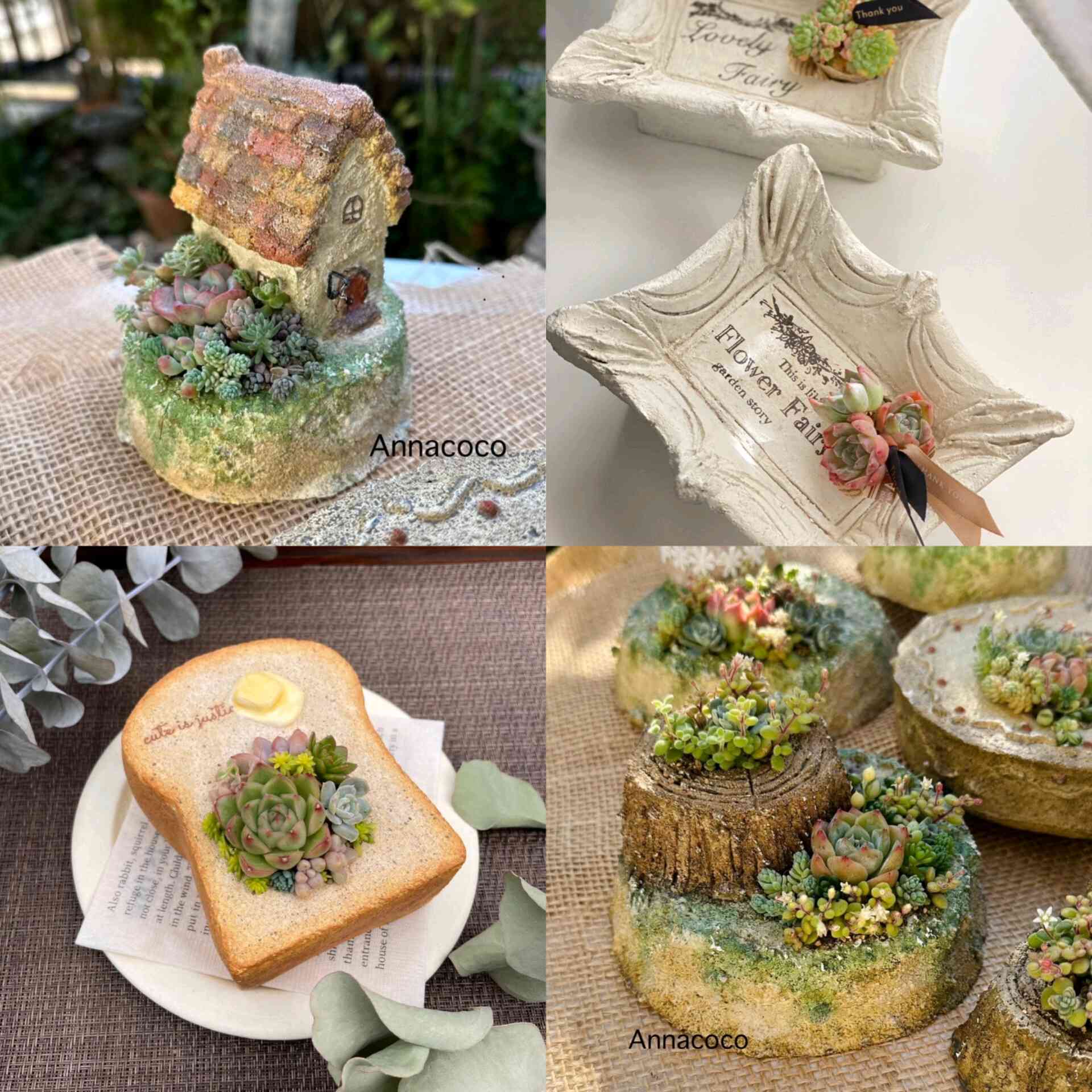 多肉寄せ植えの投稿画像 by みきTさん｜モルタル鉢とモルタル造形と