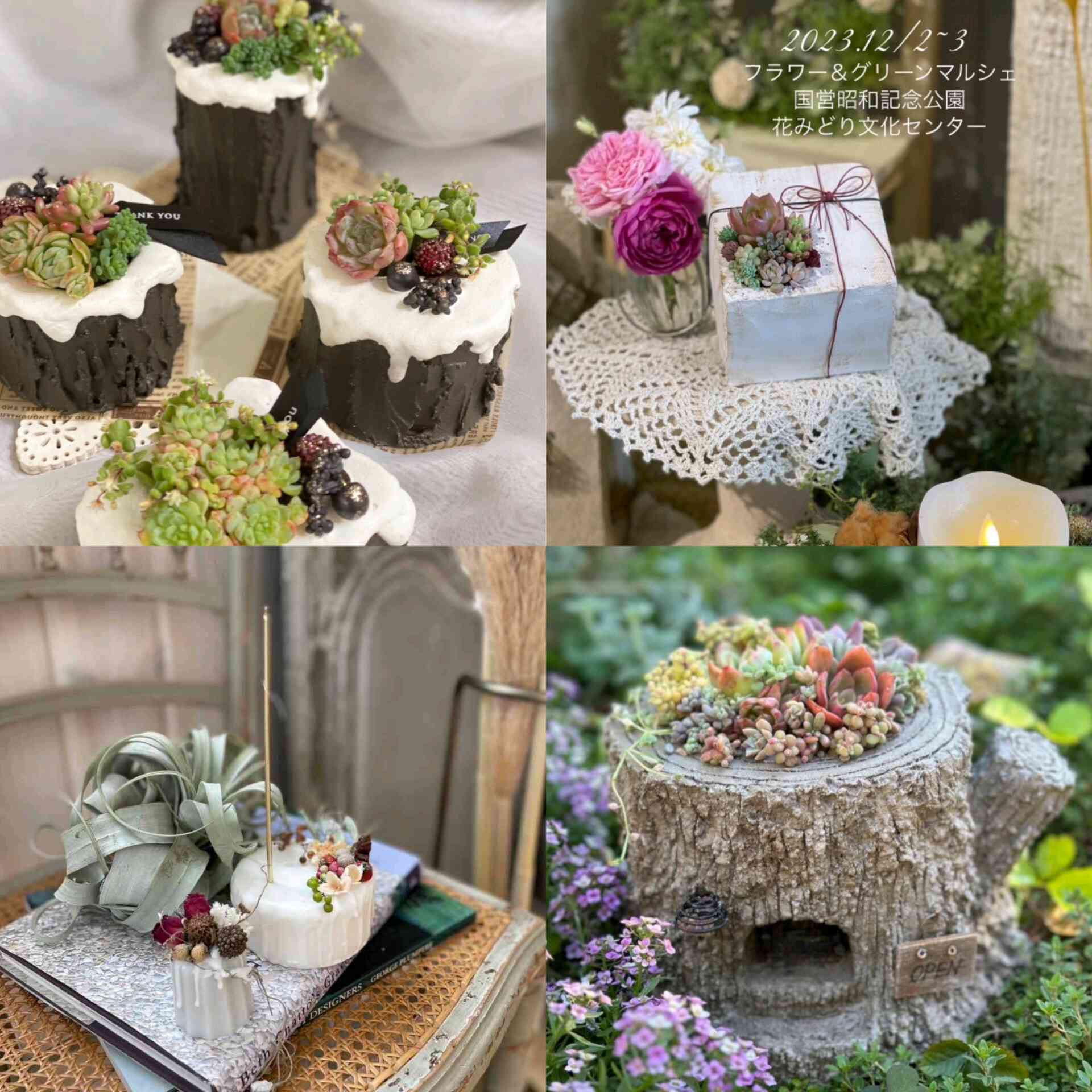 多肉寄せ植えの投稿画像 by みきTさん｜モルタル鉢とモルタル造形と