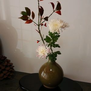 ニシキギ,菊 かがり弁,生け花,花のある暮らしの画像