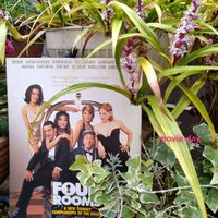 吉祥草,映画の日,毎月1日はシネマと植物と。の画像