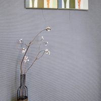 ナンキンハゼ,枝物,白い実,部屋の画像
