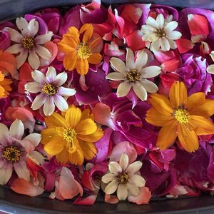 いけばな,床の間,バラ・ミニバラ,バラのある暮らし,ばら バラ 薔薇の画像