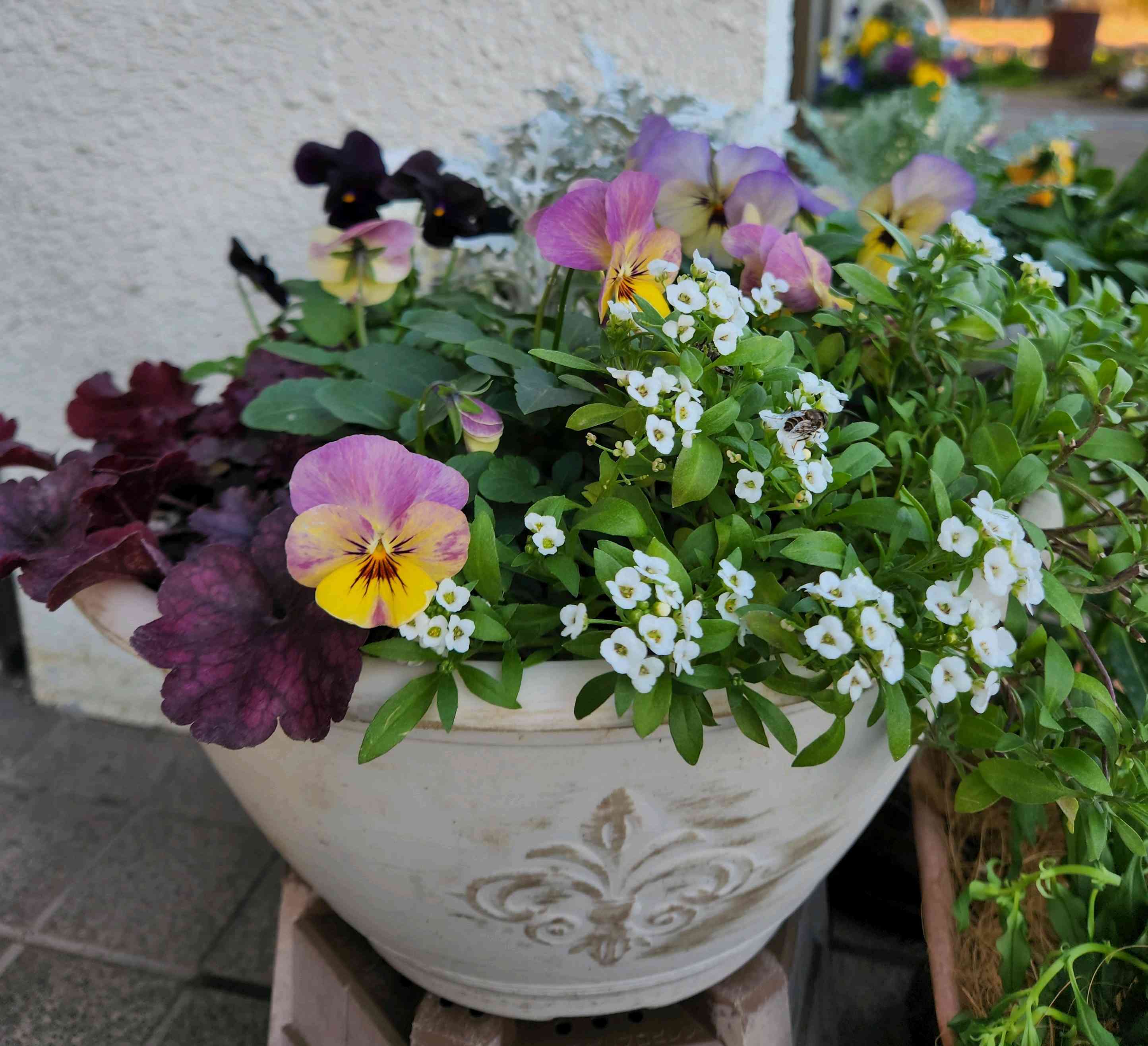 1701612059588_829565_p_2023120