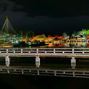 紅葉,日本庭園,ライトアップ,紅葉（こうよう）,綺麗の画像