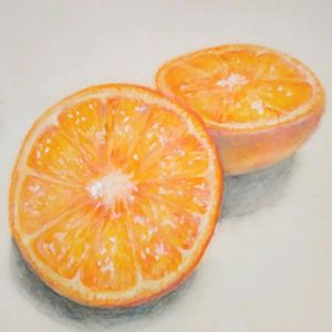 ミカン,お絵描き,広島,お部屋,スケッチの画像
