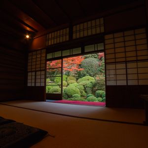 もみじ,京都,庭園,安楽寺の画像