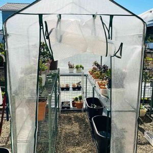 多肉植物,癒し,冬支度,冬越し,ビニール温室の画像