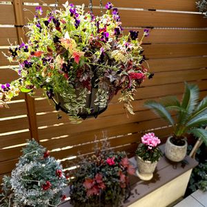 寄せ植え,ギャザリング,リッチェル,ギャザ植えの画像