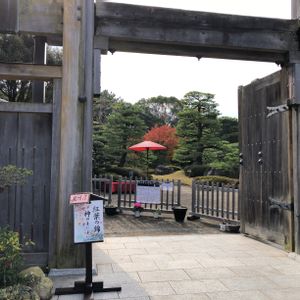 日本庭園,福岡,紅葉（こうよう）,大濠公園,お出かけ先の画像