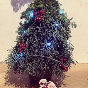 クリスマス,スワッグ,花のある暮らし,ドライ,ドライフラワーアレンジの画像