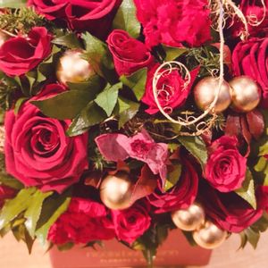 イングリッドバーグマン   ,バラ イングリッドバーグマン,季節の花,フラワーギフト,クリスマスカラーの画像