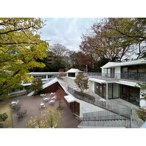 紅葉,椿 つばき,東京,植栽,神楽坂の画像