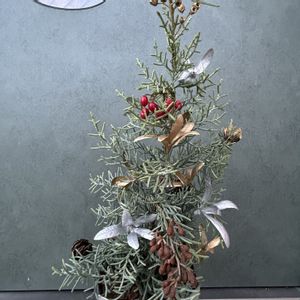 サルフレア,植物のある暮らし,ワークショップ ,クリスマスツリー,あわじグリーン館の画像