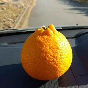 お出かけ先,畑の画像