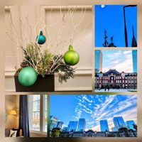 ケヤキ,ローラアシュレイ,居待月:十八夜月,コニファー*,つきの画像