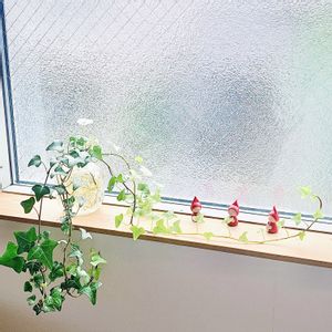 アイビー,アイビー,クリスマス,観葉植物,窓際の画像