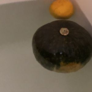 柚子,カボチャ,ユズ,お風呂,冬の植物の画像