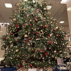 モミの木,クリスマスツリー,綺麗✨,花ぶら散歩,千代田区内幸町の画像