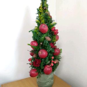 姫りんご,スプレーバラ,ヒムロスギ,クジャクヒバ,クリスマスツリーの画像