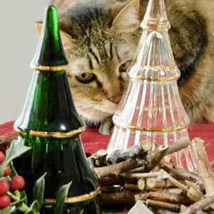 ネコ好き,クリスマスツリー,ネコのいる暮らし,部屋の画像