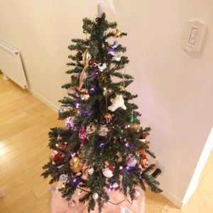 ライトアップ,北海道,クリスマスツリー,初冬,その他部屋の画像