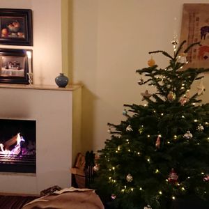 オランダ,冬の足音,加工なし,クリスマスツリー,季節感の画像