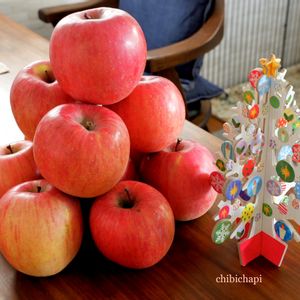 リンゴ,クリスマス,美味しい,かわいいな♡,植物のある暮らしの画像
