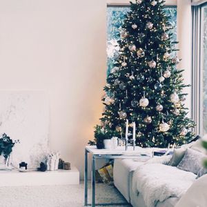 もみの木,クリスマスツリー♡,クリスマス,冬を楽しむ,クリスマスツリーの画像