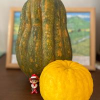 柚子,かぼちゃ,巨大,ペコちゃん,キュンキュン乙女倶楽部の画像