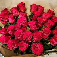 バラ,バラ(赤),赤い花,切り花,花のある暮らしの画像