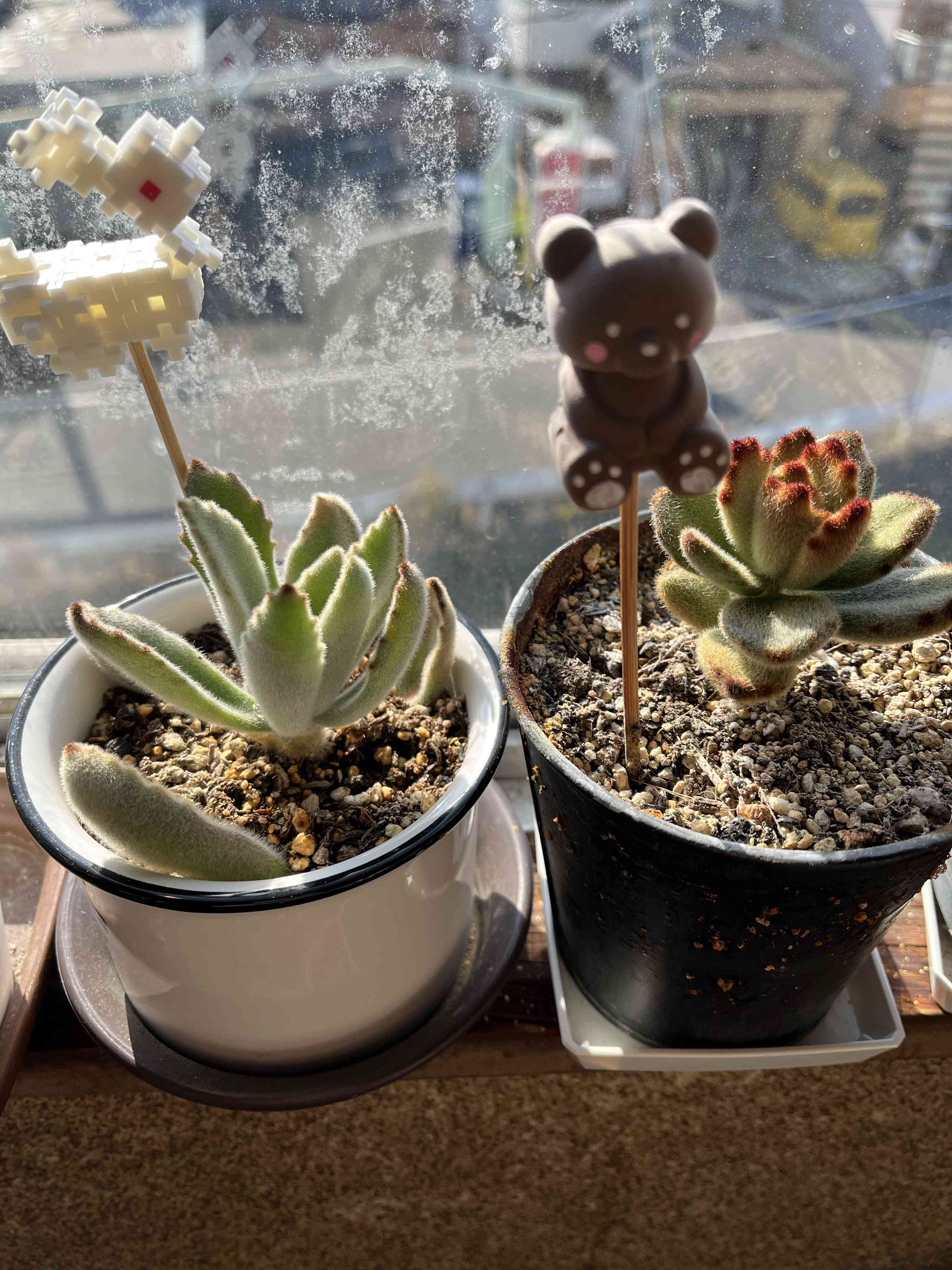 ナノブロックの投稿画像 by おこた♪さん｜白うさぎとテディベアと