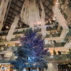 クリスマスイブ,癒し,クリスマスツリー,スマホ撮影,東京駅の画像