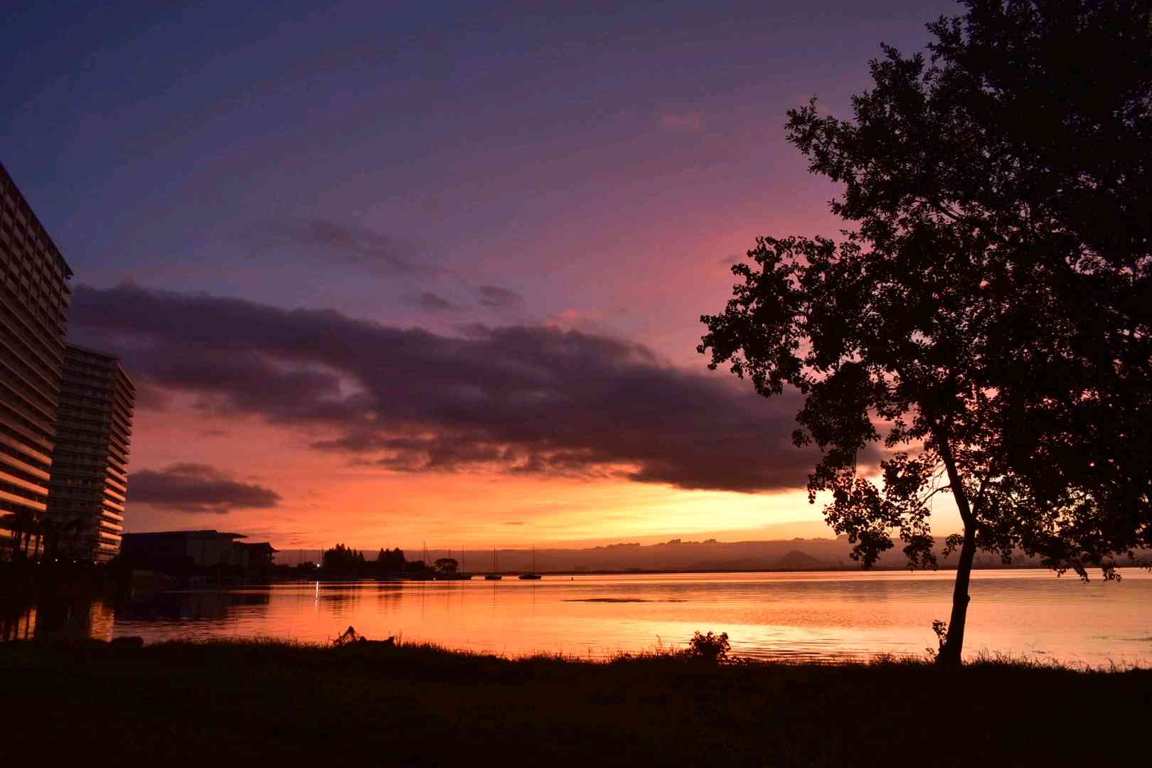 番外編)琵琶湖の朝景色🌅3️⃣(9月〜12月編)|🍀GreenSnap 番外編)琵琶湖の朝景色🌅3️⃣(9月〜12月編)|🍀GreenSnap