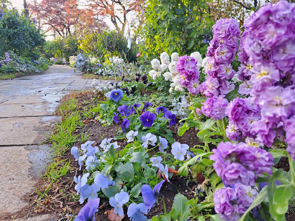 エリィさんの港の見える丘公園への投稿