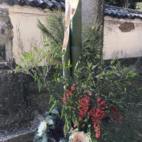 ナンテン,ナンテン,お正月門松,山口県,岩国市　白山比咩神社の画像