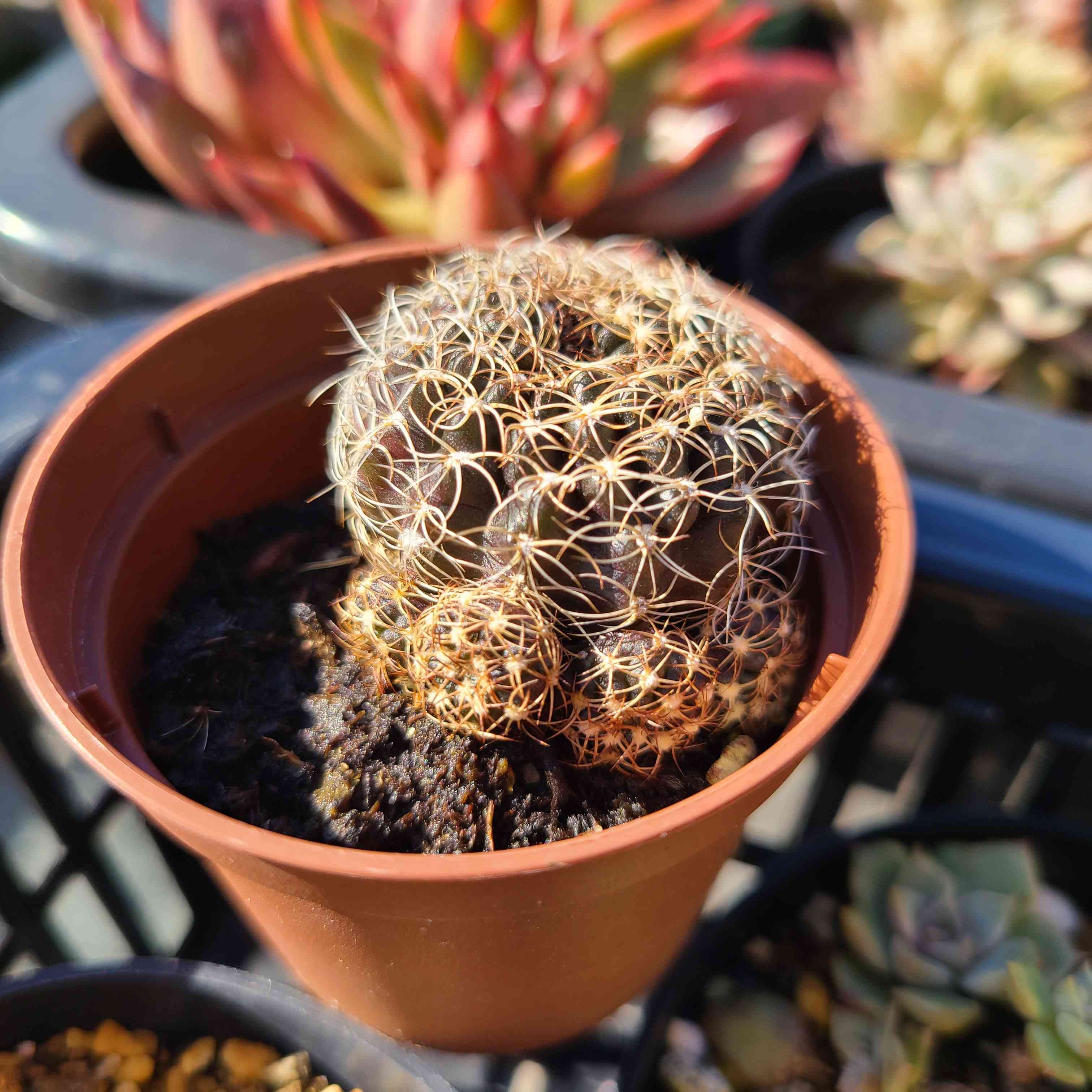 1704083262219_483340_20240101_