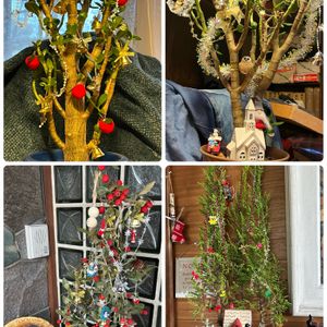 カネノナルキ,もみの木,金のなる木,花のある暮らし,クリスマスツリーの画像