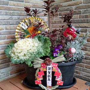 寄せ植え,100均雑貨,玄関アプローチの画像