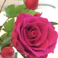 赤いバラ,観賞用 トウガラシの画像