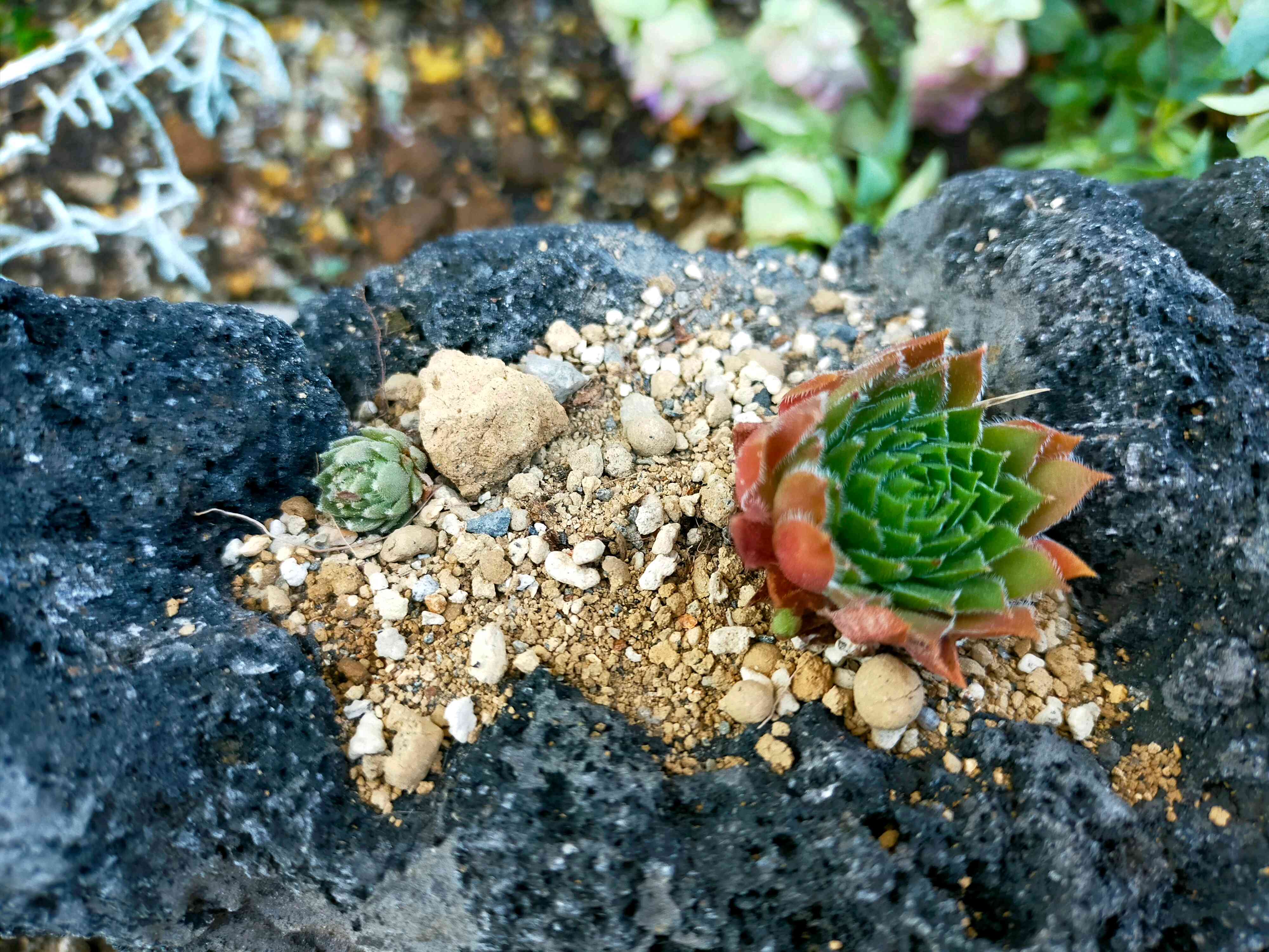 1705713986594_106447_p_2024012