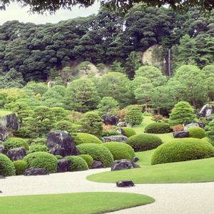 日本庭園,花が好き,和室,庭の画像